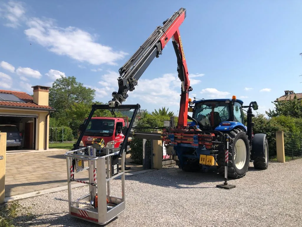 diradamento cedri - macchine avanzate per potatura