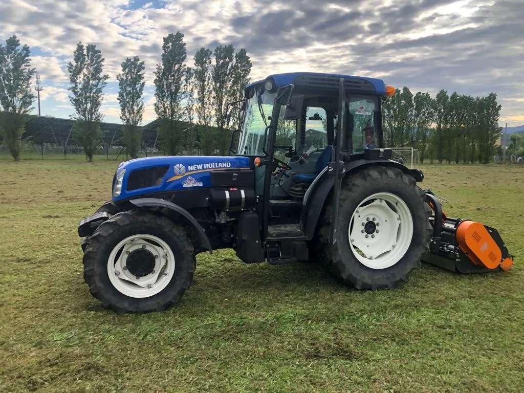 manutenzione di giardini privati - Conegliano - Passiflora