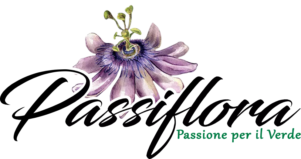 passiflora Conegliano - progettazione e realizzazione giardini e aree verdi