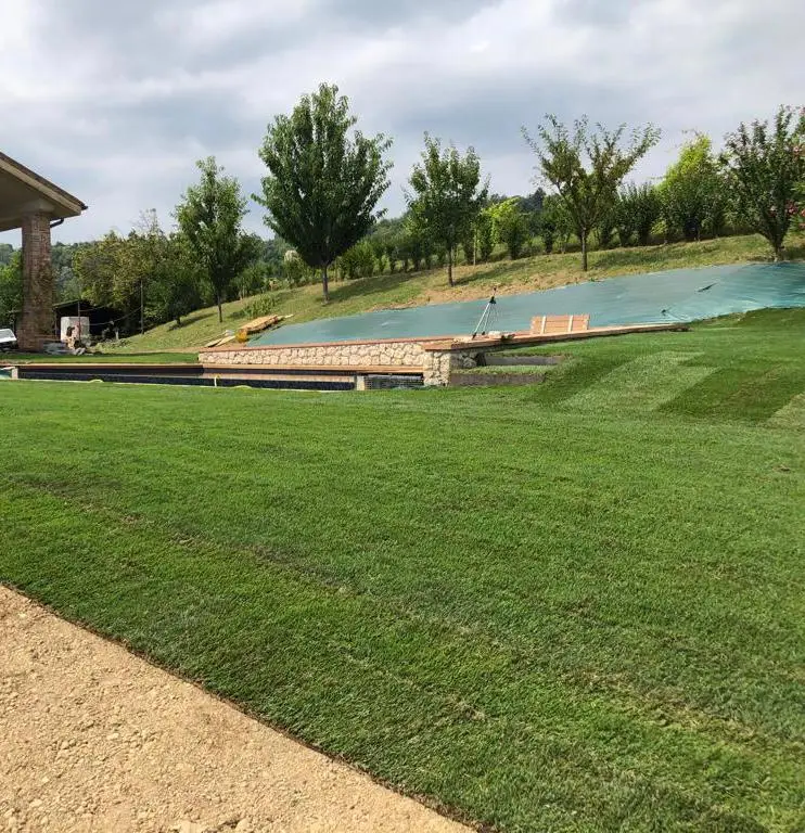 prati in rotolo in qualsiasi misura - stesura rotolo erba - tappeto erboso