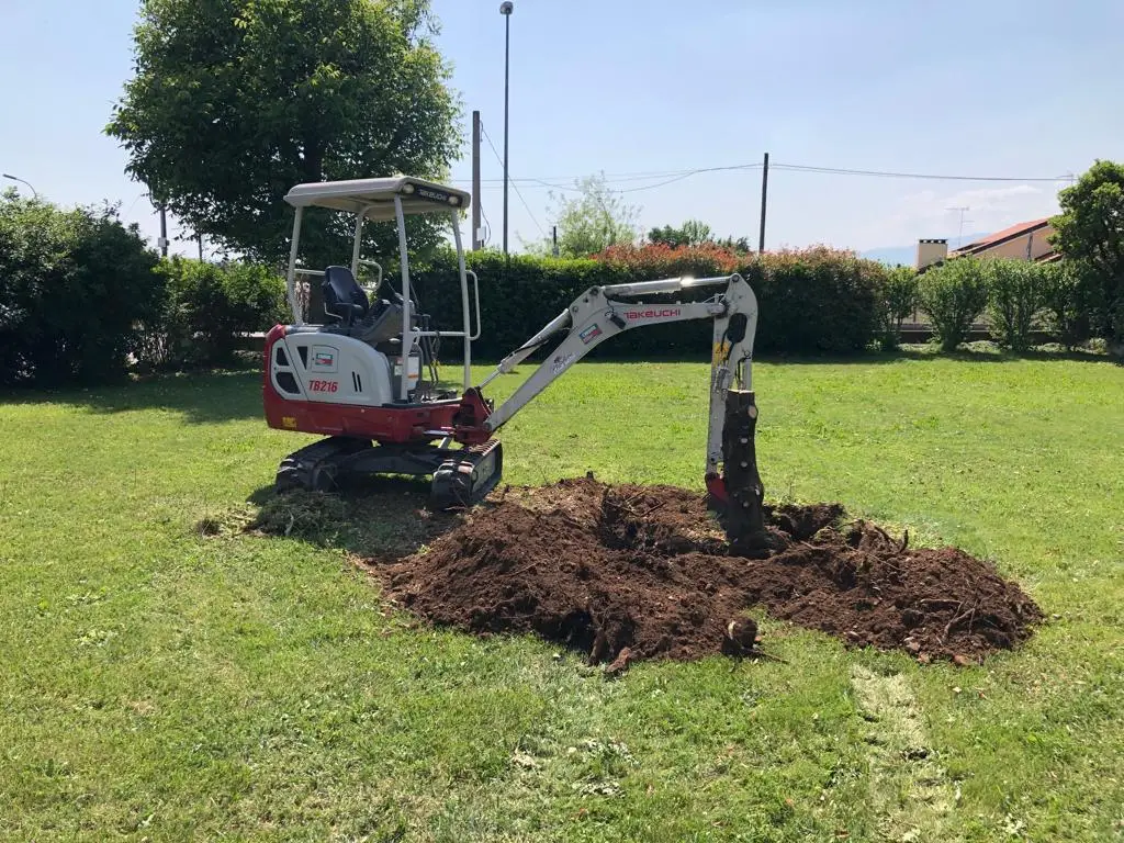 Piantumazione alberi e piante a conegliano - utilizzo macchine per piantumazione alberi - Passiflora Conegliano